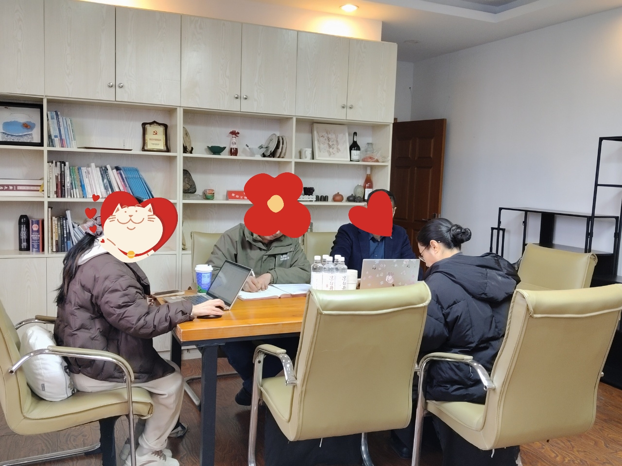 هاورون ميديكال - تدقيق TUV