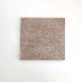 تلبيس الجينات